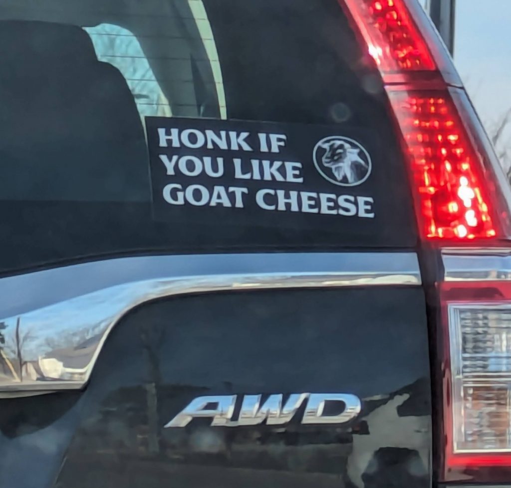 Joy: A bumper sticker that reads "honk if you like goat cheese"